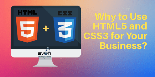 web development company in Haryana