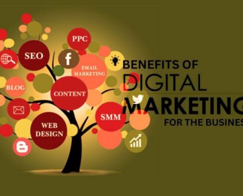 digital marketing company in Panchkula